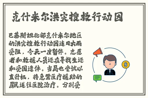 坤坤放进定眼里